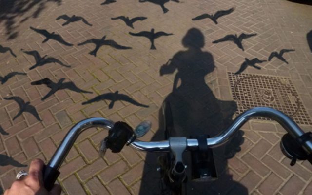bicycle 1