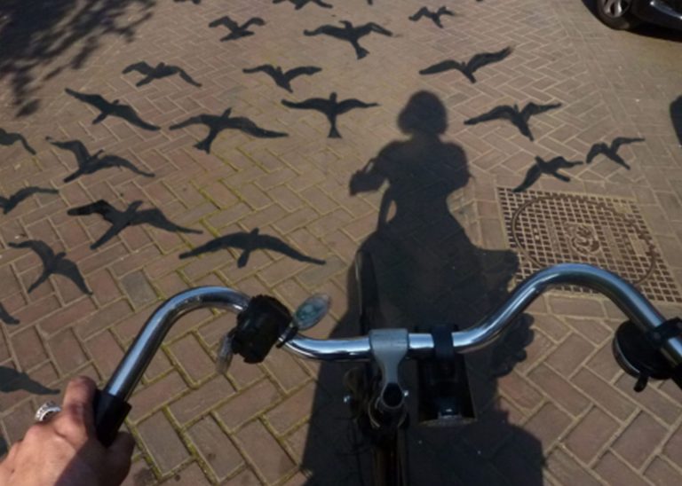 bicycle 1