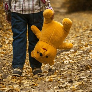 teddy bear